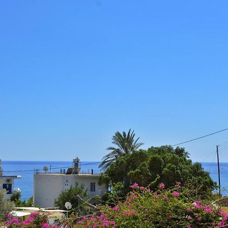Georgia'S Studio Λέντας Εξωτερικό φωτογραφία