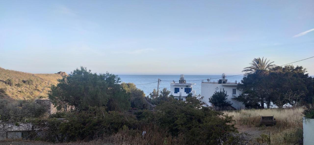 Georgia'S Studio Λέντας Εξωτερικό φωτογραφία